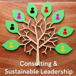Consulting. Sustainable Leadership Project.